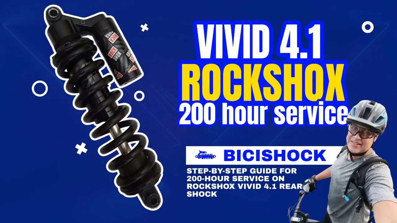 Vivid 4.1